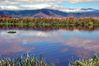Ngorongoro_Pool.jpg